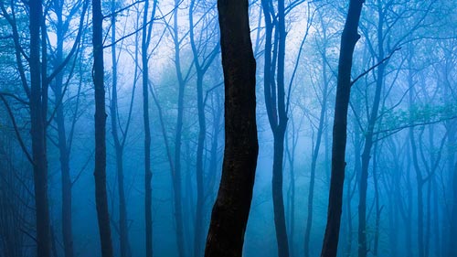 Otley Chevin, Yorkshire 