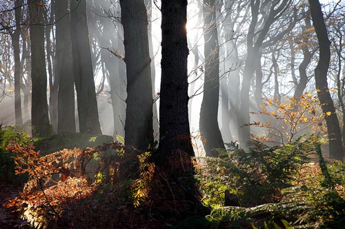 Otley Chevin, Yorkshire