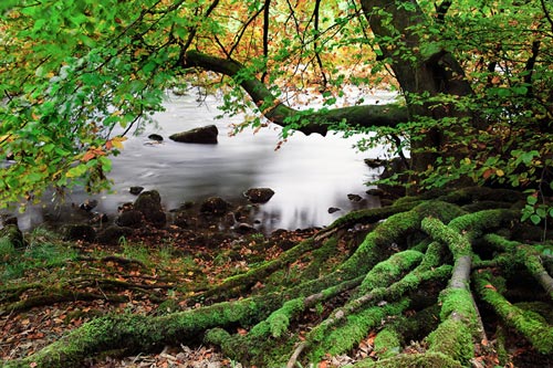 Bolton Abbey, Yorkshire