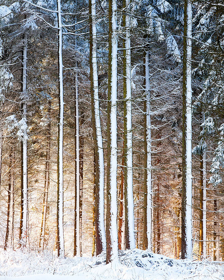 FLOW 2 - Bolton Abbey, Yorkshire 